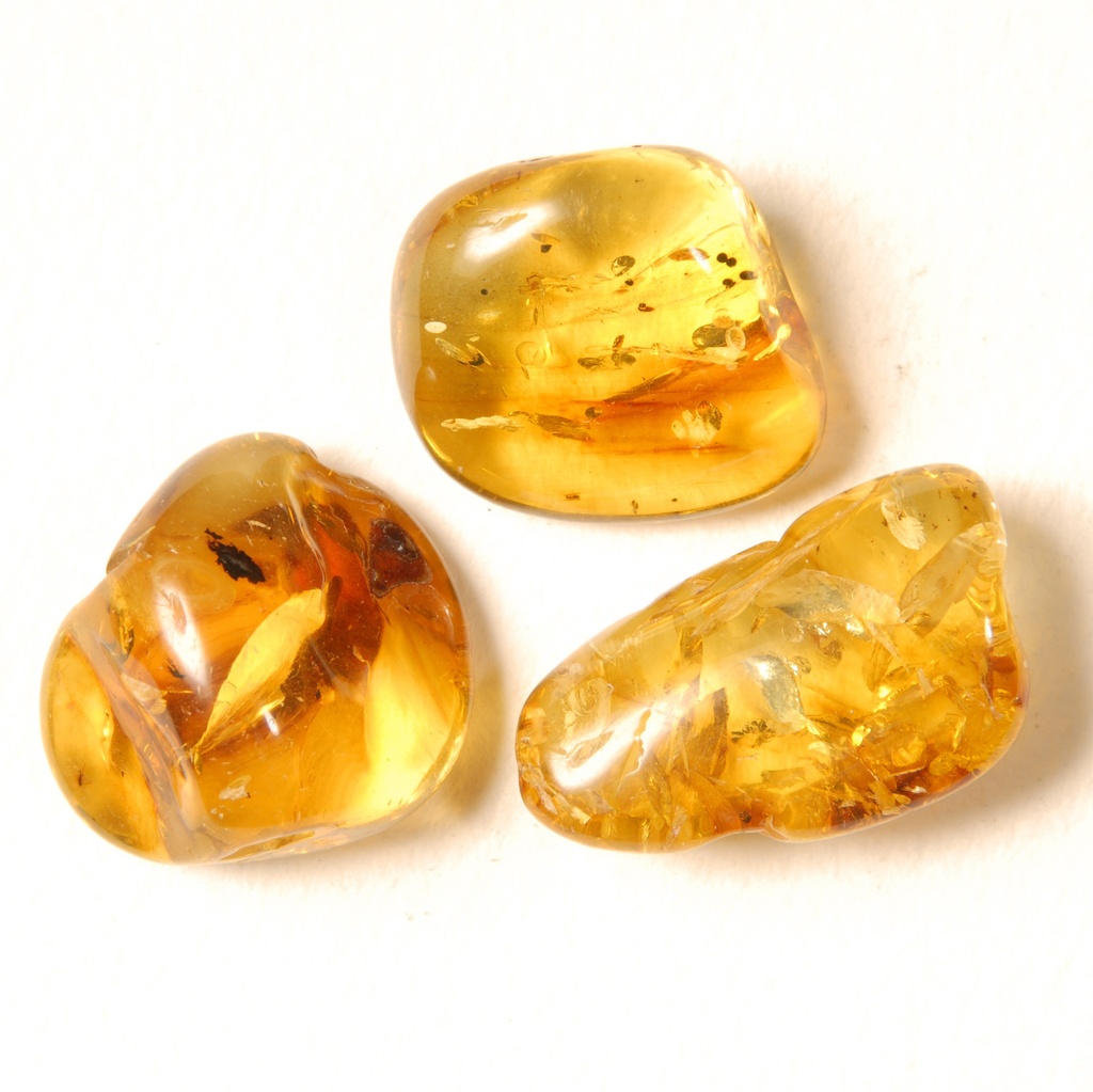 Ambre